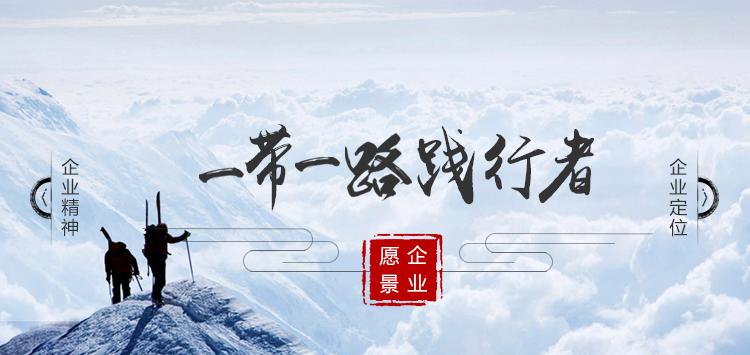 企业愿景